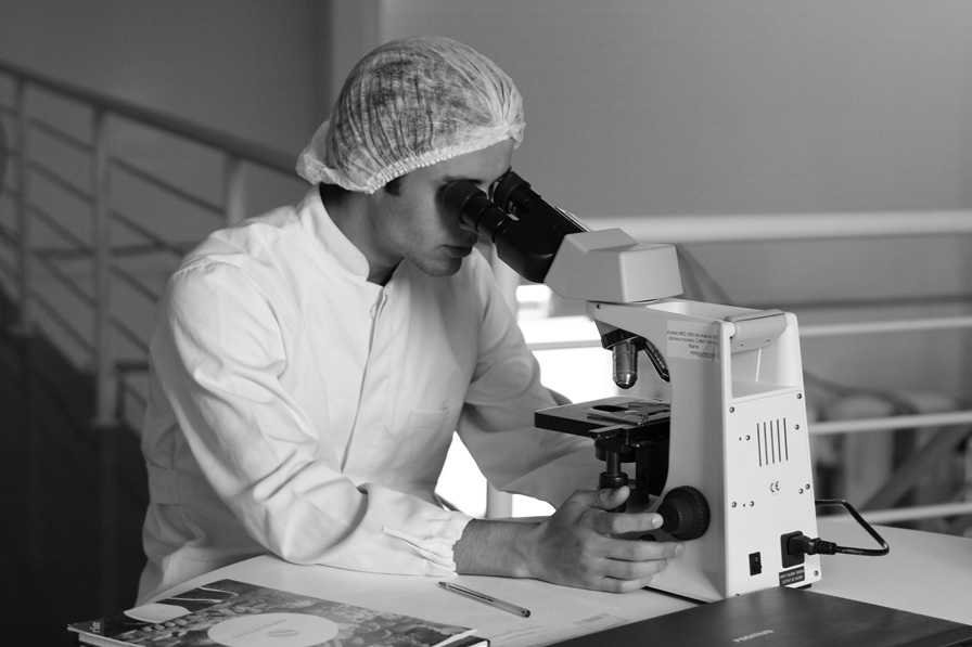 Hvad er fødevarer til medicinske formål?